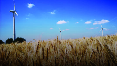 a field of wheat with wind turbines in the background