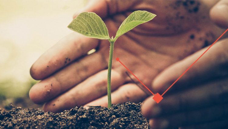 Sustainability